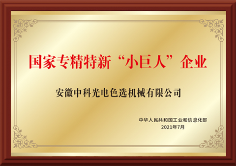 38-國家專精特新“小巨人”企業